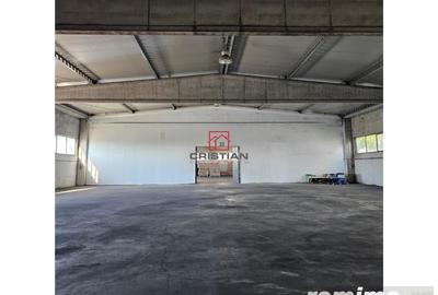Spațiu comercial, în Domnești - 10