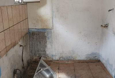 Casă individuală cu 2 camere cu Teren 163 Mp în Brătianu - 6