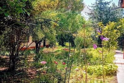 Casă cu 5 camere cu Teren 1129 Mp în Grădiștea - 1