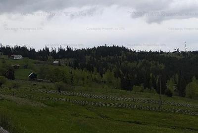 Teren extravilan de 14485 mp, în Iacobeni