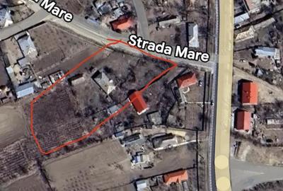 Teren de 3444 mp, în Oancea - 6