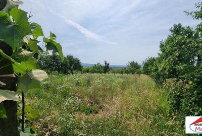 Casă individuală cu 2 camere cu Teren 8052 Mp în Viile Satu Mare - 6