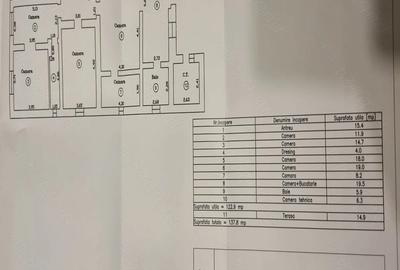 Casă cu 4 camere cu Teren 1900 Mp în Pișchia - 3