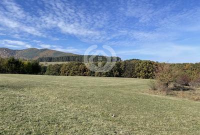 Teren agricol extravilan de 1342 mp, în Rășinari - 2