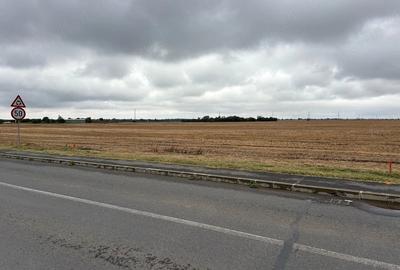 Teren de 5000 mp, în Vadu Anei