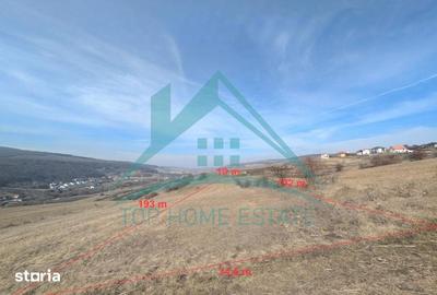 Teren de 2900 mp, în Baciu - 1