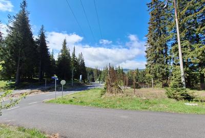 Teren Construcții intravilan de 7000 mp, în Păltiniș - 4