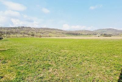 Teren de 8906 mp, în Dofteana - 3
