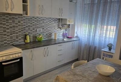 Apartament cu 2 camere în Burdea - 9