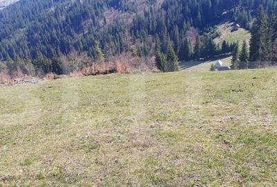 Teren de 206189 mp, în Central - 8
