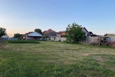 Teren de 900 mp, în Săcălaz - 3