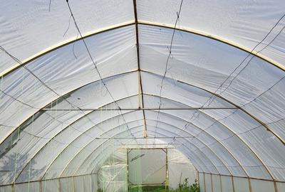 Casă cu 6 camere cu Teren 3000 Mp în Cataloi - 13