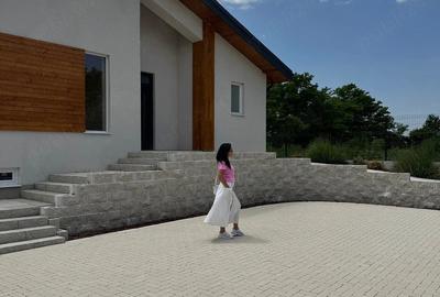 Casă cu Teren 560 Mp în Vlădiceasca - 4