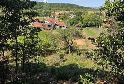Teren de 4903 mp, în Lunca (Baia de Criș)