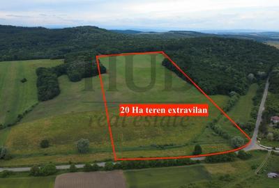 Teren agricol extravilan de 220000 mp, în Mărăști - 2