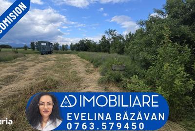 Teren de 2300 mp, în Central