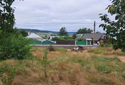 Teren de 1488 mp, în Secuia