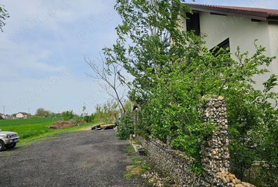 Teren de 560 mp, în Dârza - 4