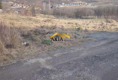 Teren de 1000 mp, în Baciu - 1
