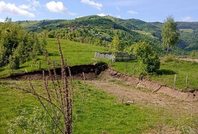 Teren de 2000 mp, în Central - 1