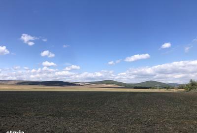 Casă cu 4 camere cu Teren 2900 Mp în Slava Cercheză - 1