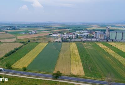 Teren de 8600 mp, în Central