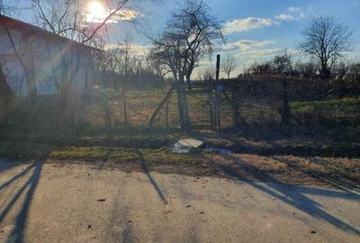Teren agricol intravilan de 2065 mp, în Cocorăștii Colț - 5