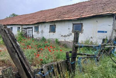 Spațiu comercial, în Vasile Alecsandri - 2