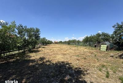 Casă cu 2 camere cu Teren 146 Mp în Remetea Mare - 4
