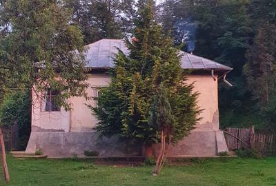 Teren Construcții intravilan de 20000 mp, în Valea Lungă - 16