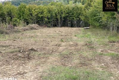 Teren de 3000 mp, în Budești - 5