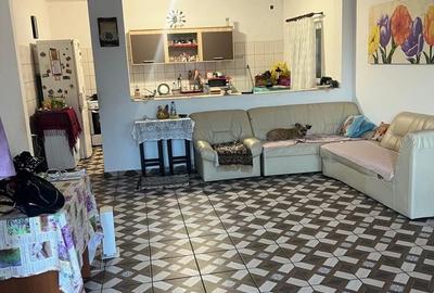 Casă cu 4 camere în Bogonos