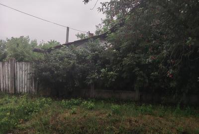 Casă cu 3 camere cu Teren 2503 Mp în Central