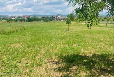Casă cu 2 camere cu Teren 2452 Mp în Central - 5
