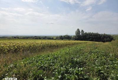 Teren de 2500 mp, în Șcheia