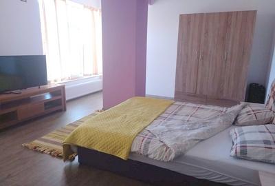 Apartament cu 2 camere semidecomandat în Nord - 6