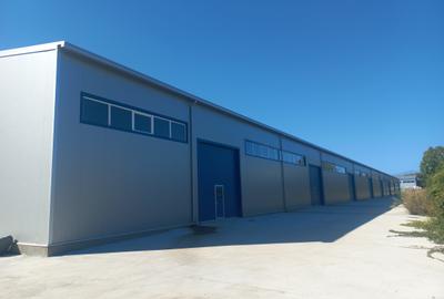Spațiu industrial, de 9,618 mp, în Pucioasa - 3