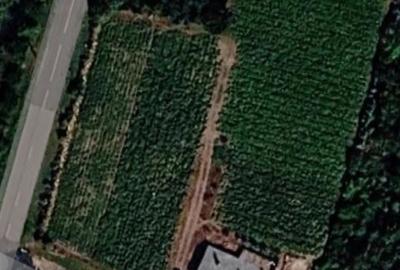 Casă cu 2 camere cu Teren 5500 Mp în Zlata