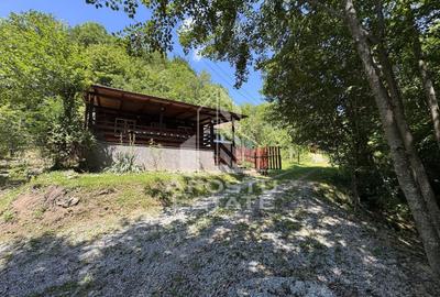 Casă individuală cu 5 camere cu Canalizare în Dumbrava de Jos - 52