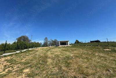 Teren de 1500 mp, în Vadu Crișului - 5