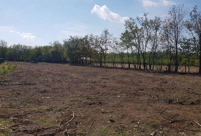 Teren de 3729 mp, în Polovragi - 3