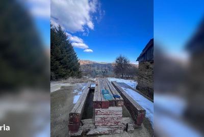 Casă cu 4 camere în Brebu - 1