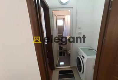 Apartament cu 2 camere semidecomandat, mobilat în Craiovița Nouă - 8