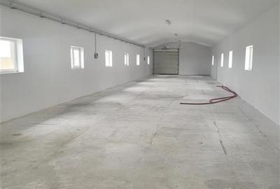 Spațiu industrial, de 370 mp, în 9 Mai - 16