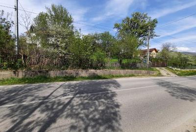 Teren intravilan de 3108 mp, în Teșila - 1