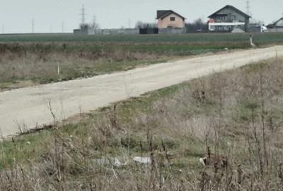 Teren de 5000 mp, în Ghercești - 5