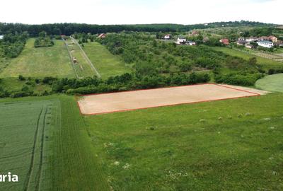 Teren de 2935 mp, în Viile Satu Mare