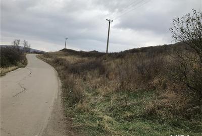 Teren de 5800 mp, în Central