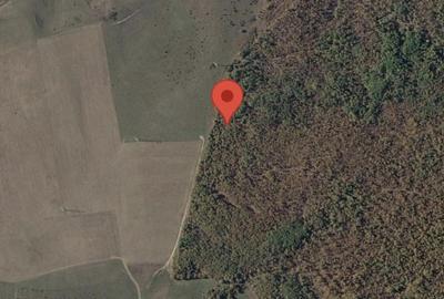 Teren de 13300 mp, în Exterior Sud
