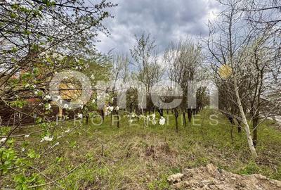 Teren agricol intravilan de 800 mp, în Valea Borcutului - 1